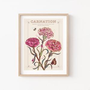 Carnations Wall Art Print, January Birth Flower Illustration Print - Flowerhint