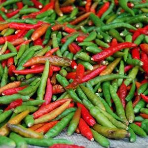 Sri Lanka Sangram Chilli Pepper Red or Green Cayenne Pepper - Flowerhint