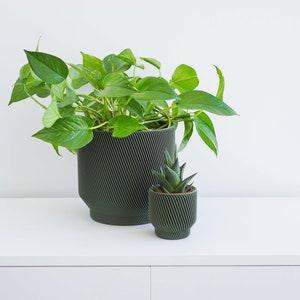 Green Plant Pot | Green Planter | Indoor Planter | Indoor Plant Pot | Minimal Plant Pot | Minimal Planter | Succulent Planter | Cactus Pot - Flowerhint