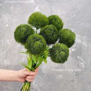 Faux Dianthus Green Ball Bouquet | Dianthus Green Ball Stem | High Quality Artificial Plant | DIY | Floral | Home Decoration | Gifts - Flowerhint