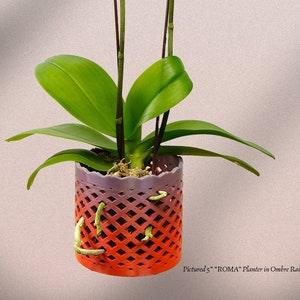 Pot d'orchidée, pot de plantes unique avec trous de drainage et