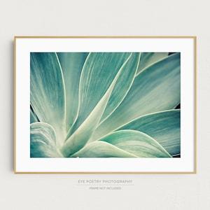 Agave Photograph, Cactus Print, Nature Photography Print, Colorful Home Decor, Blue Green, Tropical Decor, Botanical Print 