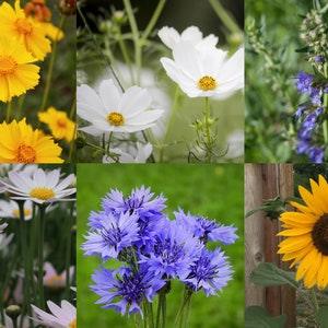 Flower Garden Seed Kit #2 - Flower Seeds Gift for Her - Flowers for Bees - Poppy Seeds - Daisy Seeds - Easy Garden Kit - 12 Seed Packets - Flowerhint