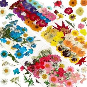 144 flores prensadas secas naturales para resina, flores secas a grane–  Flowerhint