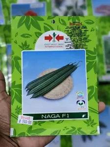 NAGA F1 Ridged Gourd 700+ Seeds Chinese Okra Angled Luffa Gourd Sigua Sponge - Flowerhint