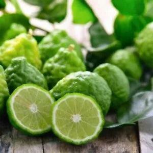 50 Kaffir Lime Seeds Citrus Hystrix Heirloom Organic - Flowerhint