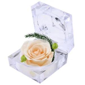 Nounours en Rose Blanc avec Boîte - Amour Rose Éternelle